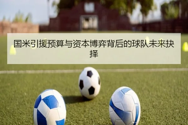 国米引援预算与资本博弈背后的球队未来抉择 - YAMEISPORTS
